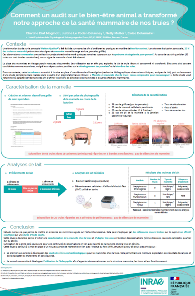 Image poster AFSTAL